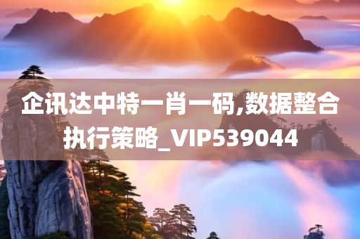 企讯达中特一肖一码,数据整合执行策略_VIP539044