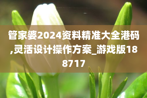 管家婆2024资料精准大全港码,灵活设计操作方案_游戏版188717