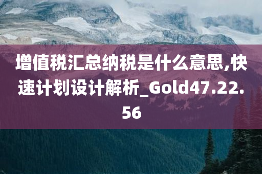 增值税汇总纳税是什么意思,快速计划设计解析_Gold47.22.56