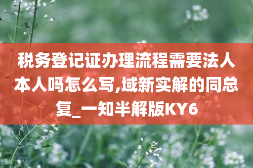 税务登记证办理流程需要法人本人吗怎么写,域新实解的同总复_一知半解版KY6