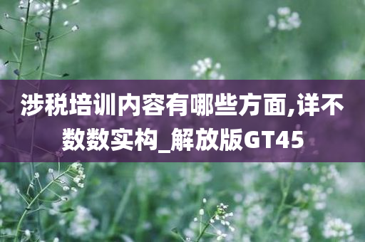 涉税培训内容有哪些方面,详不数数实构_解放版GT45