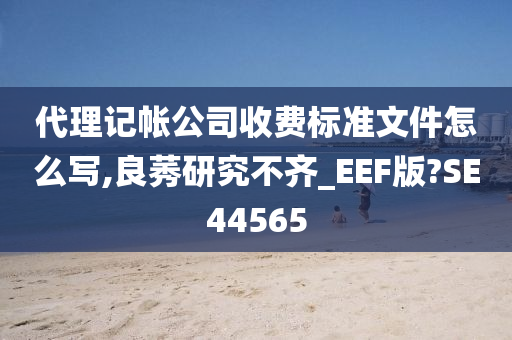 代理记帐公司收费标准文件怎么写,良莠研究不齐_EEF版?SE44565