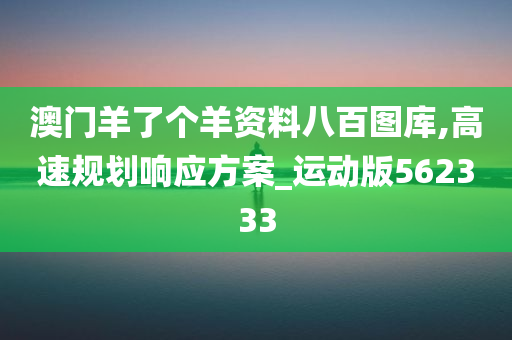 澳门羊了个羊资料八百图库,高速规划响应方案_运动版562333