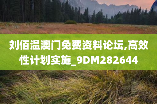 刘佰温澳门免费资料论坛,高效性计划实施_9DM282644