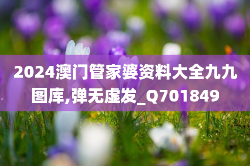 2024澳门管家婆资料大全九九图库,弹无虚发_Q701849