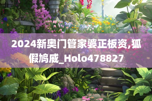 2024新奥门管家婆正板资,狐假鸠威_Holo478827