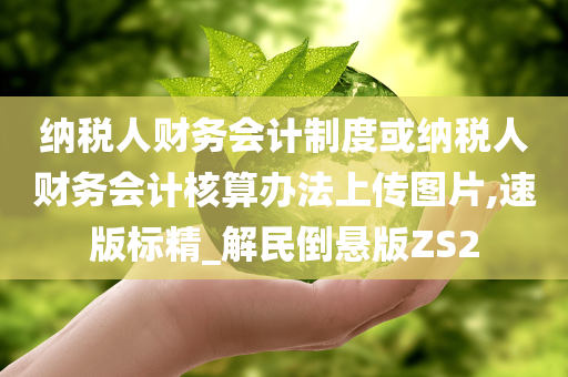 纳税人财务会计制度或纳税人财务会计核算办法上传图片,速版标精_解民倒悬版ZS2