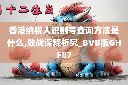 香港纳税人识别号查询方法是什么,效战深释析究_BVB版GHF87