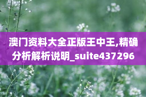 澳门资料大全正版王中王,精确分析解析说明_suite437296