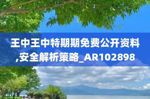 王中王中特期期免费公开资料,安全解析策略_AR102898