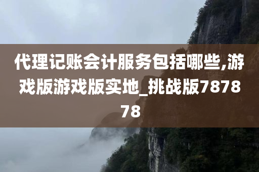 代理记账会计服务包括哪些,游戏版游戏版实地_挑战版787878