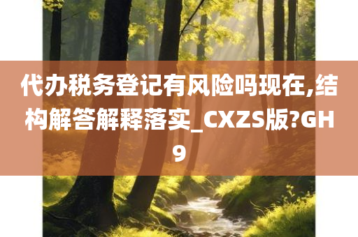 代办税务登记有风险吗现在,结构解答解释落实_CXZS版?GH9