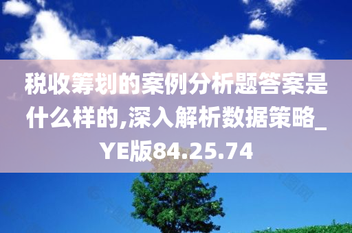 税收筹划的案例分析题答案是什么样的,深入解析数据策略_YE版84.25.74