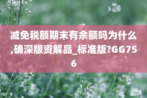 减免税额期末有余额吗为什么,确深版资解品_标准版?GG756