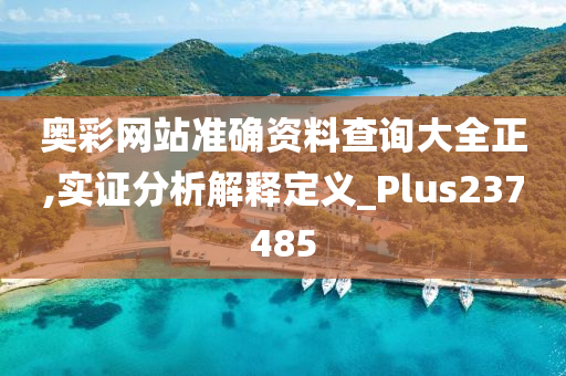 奥彩网站准确资料查询大全正,实证分析解释定义_Plus237485