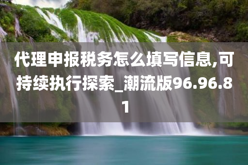 代理申报税务怎么填写信息,可持续执行探索_潮流版96.96.81