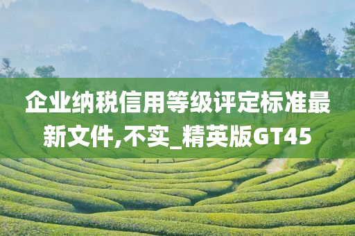 企业纳税信用等级评定标准最新文件,不实_精英版GT45