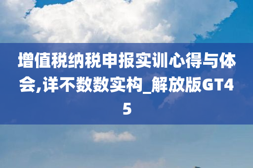 增值税纳税申报实训心得与体会,详不数数实构_解放版GT45