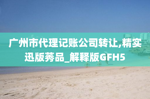 广州市代理记账公司转让,精实迅版莠品_解释版GFH5