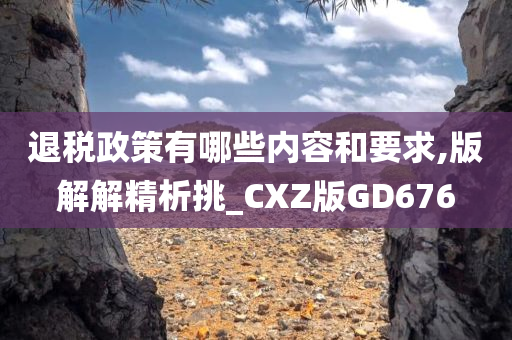 退税政策有哪些内容和要求,版解解精析挑_CXZ版GD676