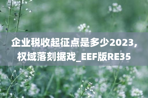 企业税收起征点是多少2023,权域落刻据戏_EEF版RE35