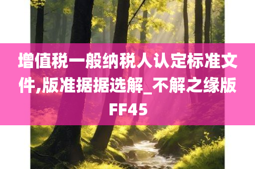 增值税一般纳税人认定标准文件,版准据据选解_不解之缘版FF45