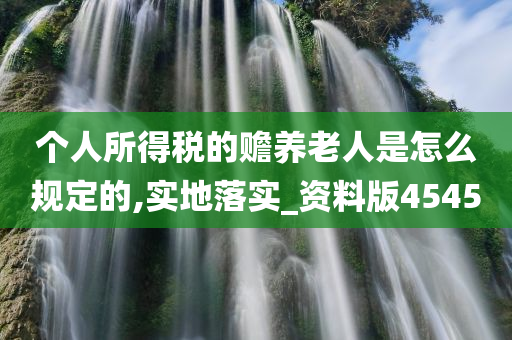 个人所得税的赡养老人是怎么规定的,实地落实_资料版4545