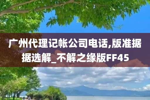 广州代理记帐公司电话,版准据据选解_不解之缘版FF45