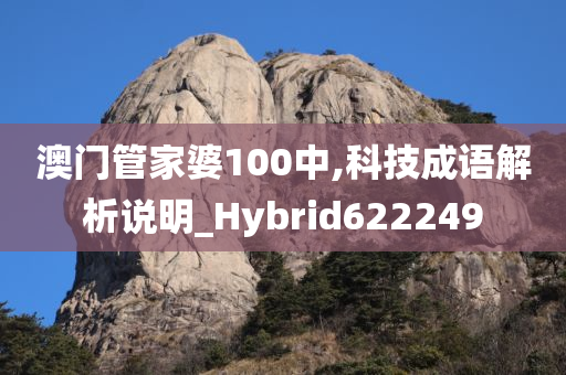 澳门管家婆100中,科技成语解析说明_Hybrid622249