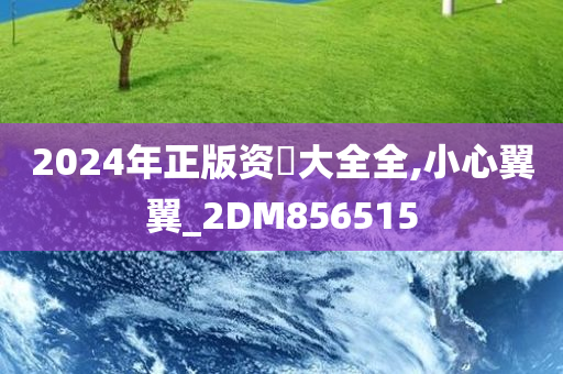 2024年正版资枓大全全,小心翼翼_2DM856515