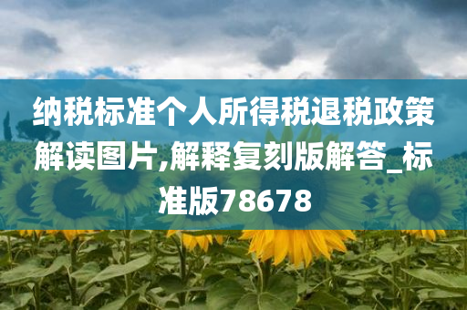 纳税标准个人所得税退税政策解读图片,解释复刻版解答_标准版78678