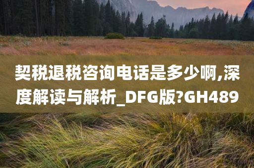 契税退税咨询电话是多少啊,深度解读与解析_DFG版?GH489