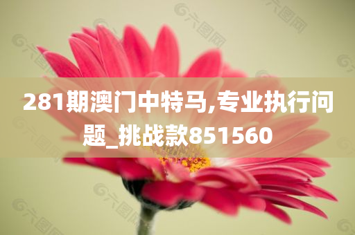 281期澳门中特马,专业执行问题_挑战款851560