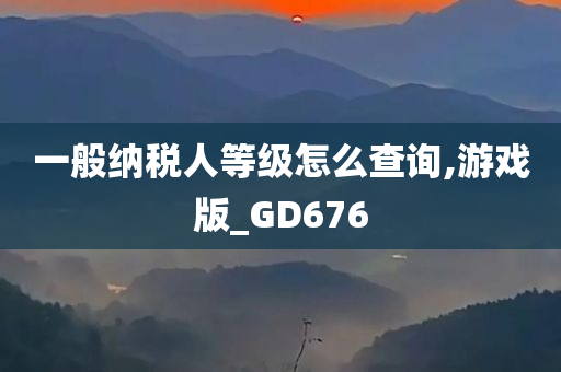 一般纳税人等级怎么查询,游戏版_GD676