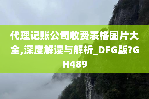 代理记账公司收费表格图片大全,深度解读与解析_DFG版?GH489