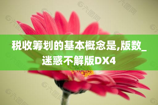 税收筹划的基本概念是,版数_迷惑不解版DX4