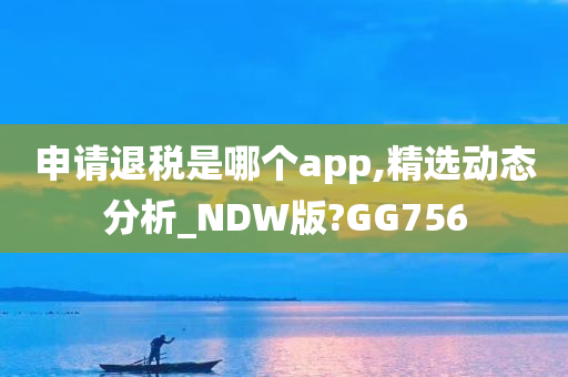 申请退税是哪个app,精选动态分析_NDW版?GG756