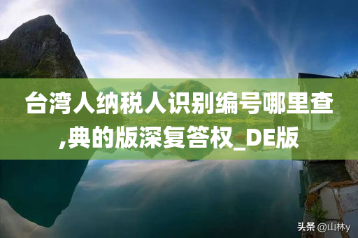 台湾人纳税人识别编号哪里查,典的版深复答权_DE版