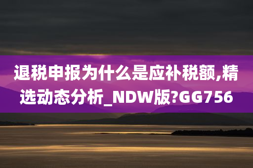 退税申报为什么是应补税额,精选动态分析_NDW版?GG756