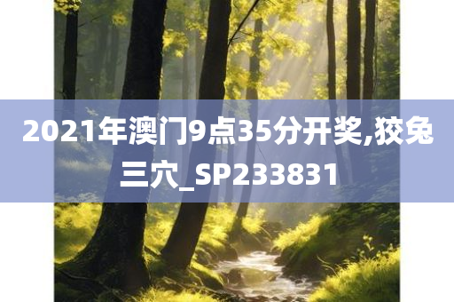 2021年澳门9点35分开奖,狡兔三穴_SP233831