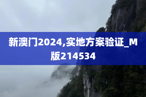 新澳门2024,实地方案验证_M版214534