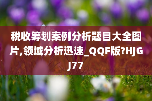 税收筹划案例分析题目大全图片,领域分析迅速_QQF版?HJGJ77