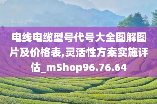 电线电缆型号代号大全图解图片及价格表,灵活性方案实施评估_mShop96.76.64