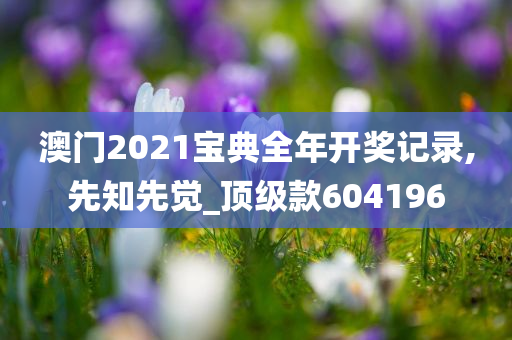 澳门2021宝典全年开奖记录,先知先觉_顶级款604196