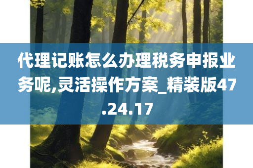 代理记账怎么办理税务申报业务呢,灵活操作方案_精装版47.24.17