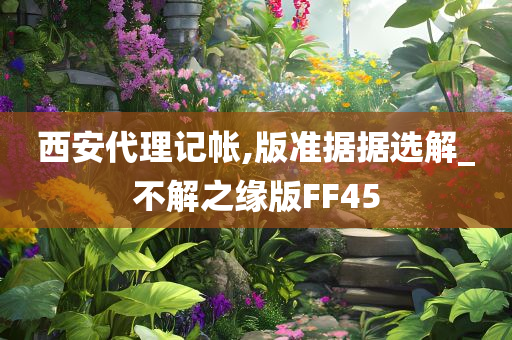 西安代理记帐,版准据据选解_不解之缘版FF45