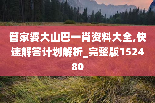 管家婆大山巴一肖资料大全,快速解答计划解析_完整版152480