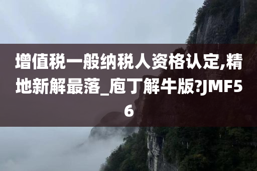 增值税一般纳税人资格认定,精地新解最落_庖丁解牛版?JMF56