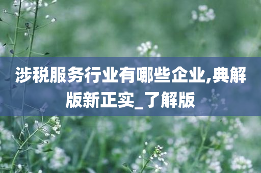 涉税服务行业有哪些企业,典解版新正实_了解版