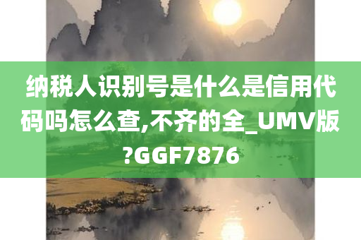 纳税人识别号是什么是信用代码吗怎么查,不齐的全_UMV版?GGF7876